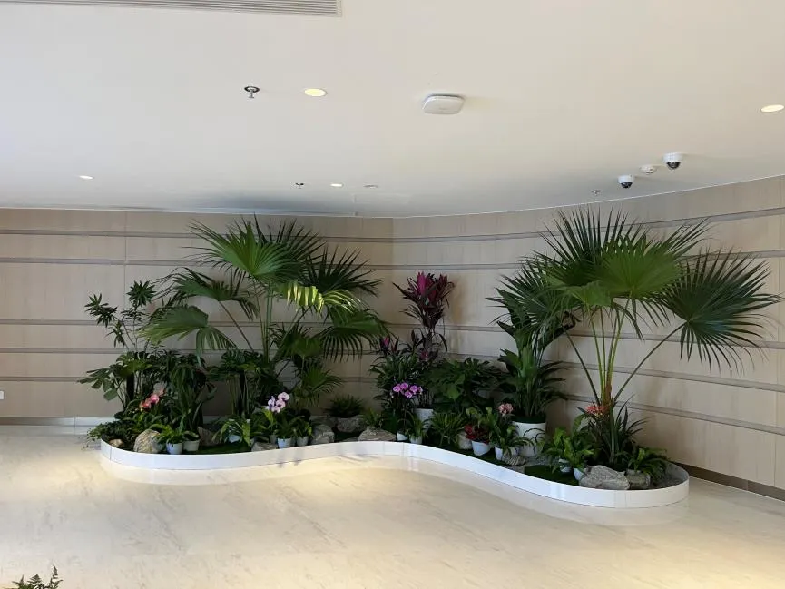 “解锁宁波北仑花木租摆设计，开启别样绿意生活验